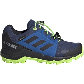 Adidas Terrex Gtx K dječje cipele EF2231 tamnoplava i plava