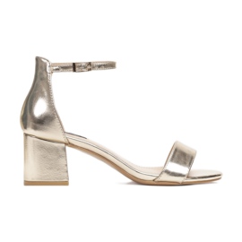 Vices Poroci 1601-60-zlatni