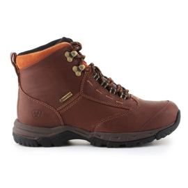 Cipele Ariat Berwick Gtx W 10016298 smeđa