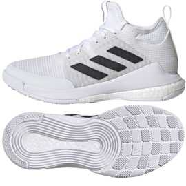 Adidas cipele za odbojku CrazyFlight Mid W FX1792 višebojan smeđa