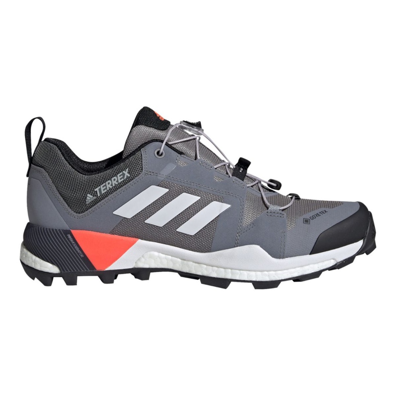 Adidas Terrex Skychaser Gtx M EG2868 cipele raznobojna