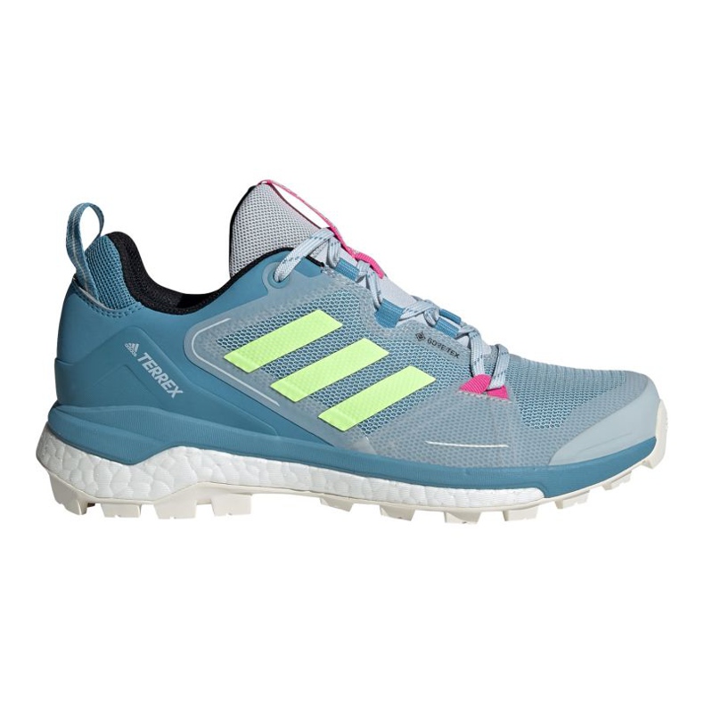 Adidas Terrex Skychaser 2 Gtx W FW2997 cipele plava zelena