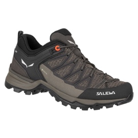 Salewa Mtn Trainer Lite Gtx trekking cipele 61362-7517 smeđa