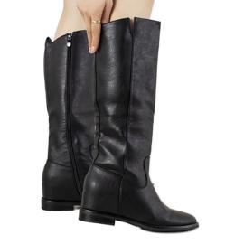 Crne čizme na Rosamonde klin crna