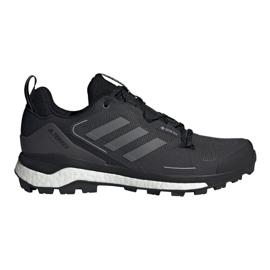 Cipele Adidas Terrex Skychaser 2 Gtx M FX4547 crna
