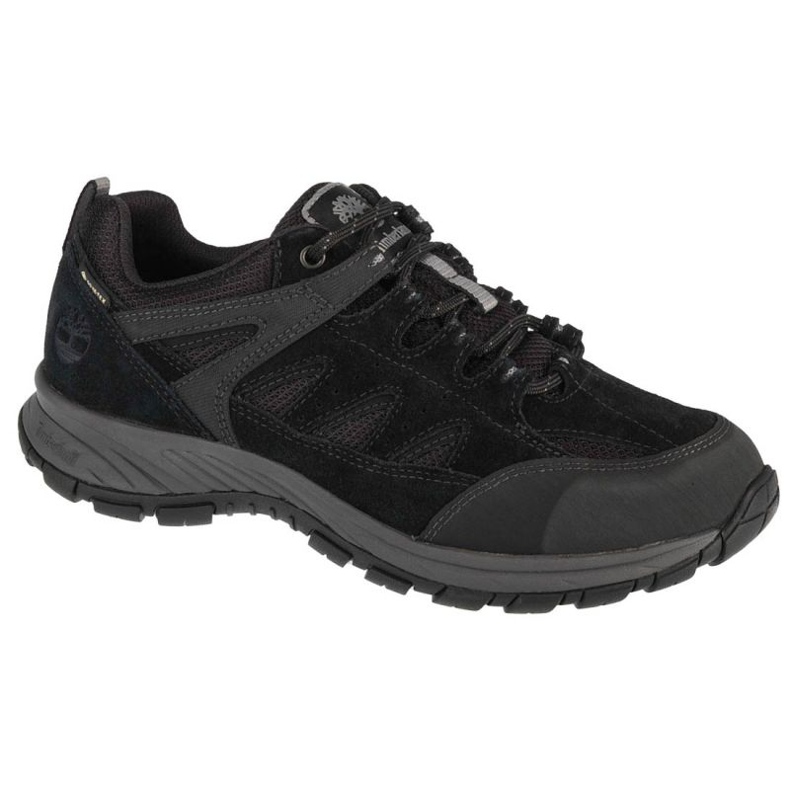 Cipele Timberland Sadler Pass Gtx A1PG2 crno