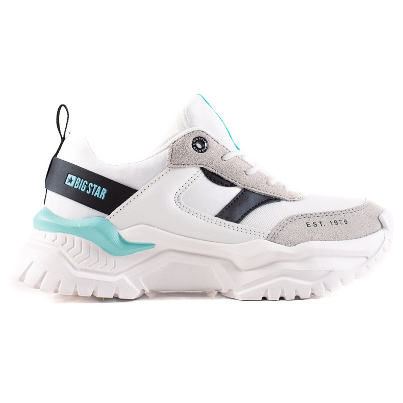 Ženske tenisice Big Star JJ274A412 raznobojna