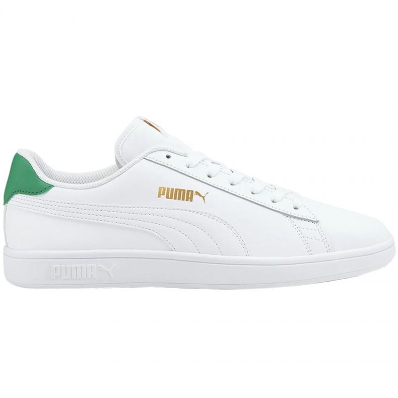 Puma Smash v2 LM 365215 36 bijela zelena
