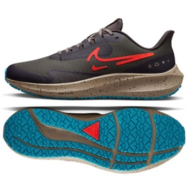 Nike Air Zoom Pegasus M DO7625 200 tenisica za trčanje višebojan siva