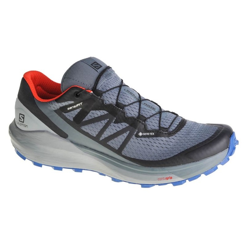 Cipele Salomon Sense Ride 4 Gtx M 413778 siva