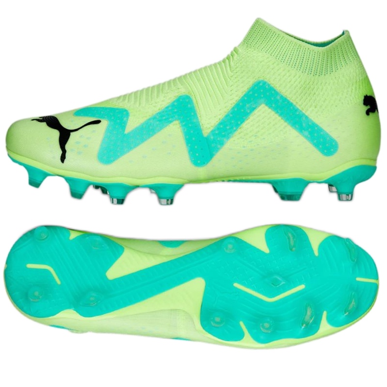 Puma Future Match Ll FG/AG M 107176 03 cipele zelena zelena