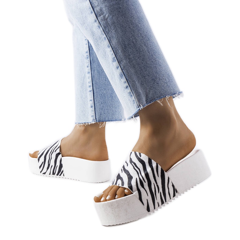 AE35 Zebra slajdovi bijela