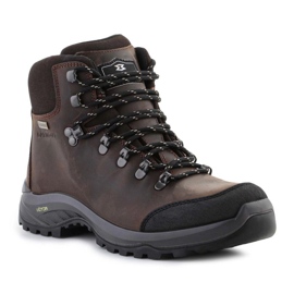 Garmont Syncro Light Plus Gtx M 002490 cipele smeđa
