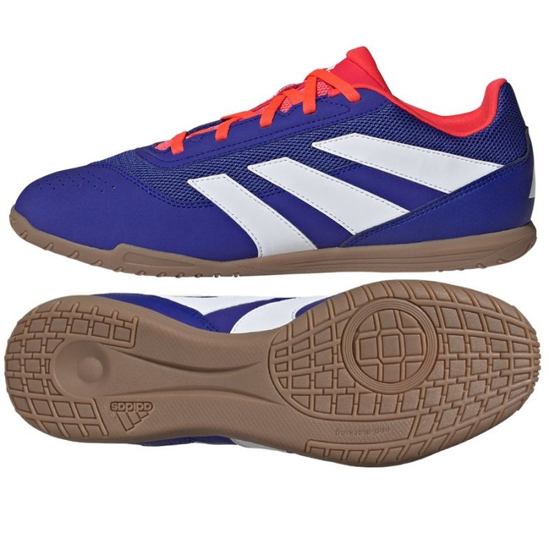 Adidas Predator Club Sala In IF6403 tenisice za nogomet plava