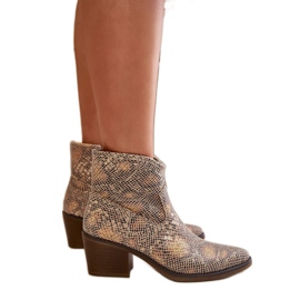 Ženske kaubojske čizme Gold Snake višebojan