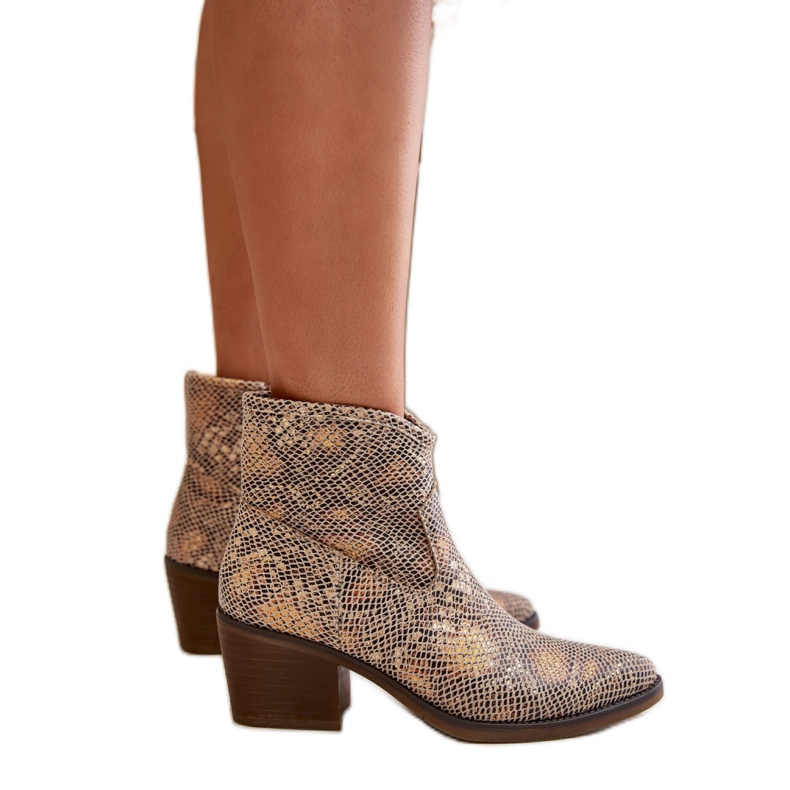 Ženske kaubojske čizme Gold Snake raznobojna