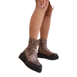 Step in style Čizme Model Zazoo 60369 Tamno bež - Zakoračite sa stilom