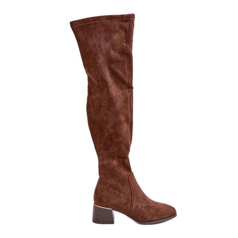 Visoke čizme iznad koljena od eko antilop kože, smeđa Galadi