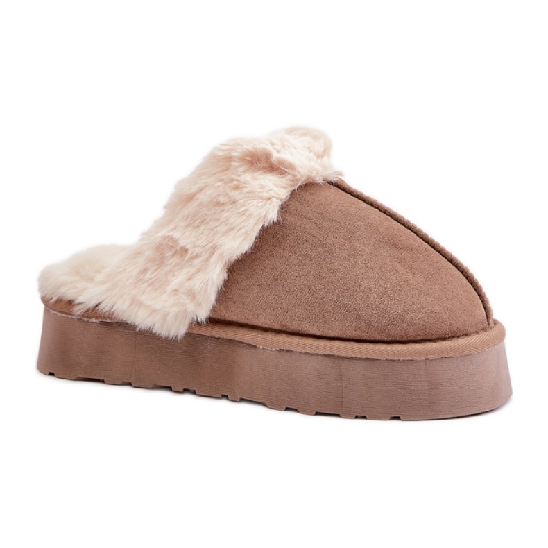 Papuče Model FA-181 Tamno bež