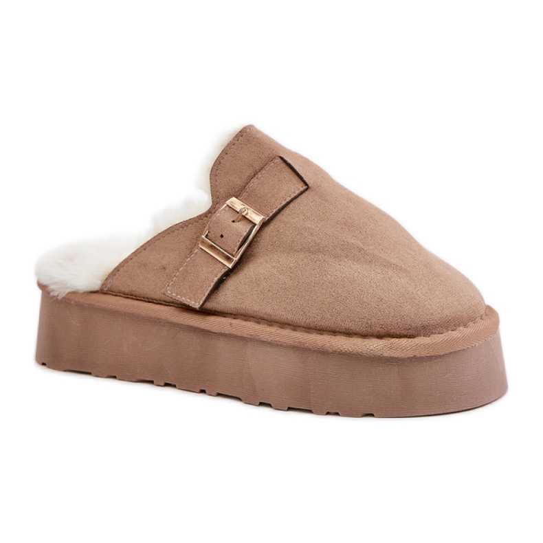 Ženske papuče izolirane krznom FA-185, tamno bež