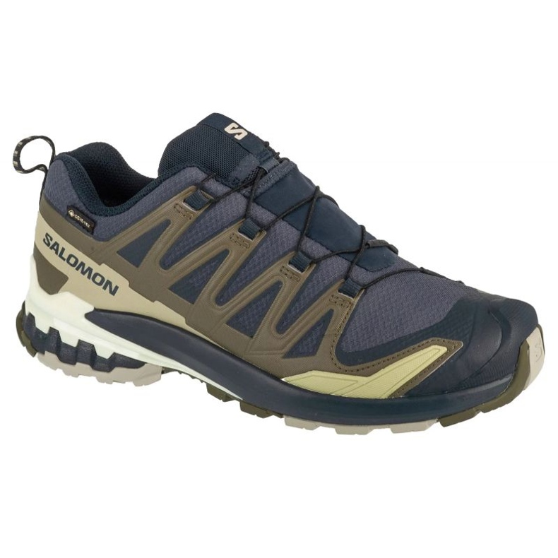 Salomon XA Pro 3D V9 GTX L47823000 tenisica za trčanje siva