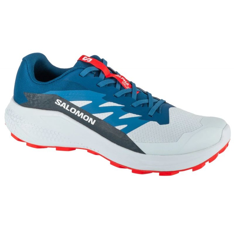 Salomon Alphaglide balada L47724300 tenisice siva