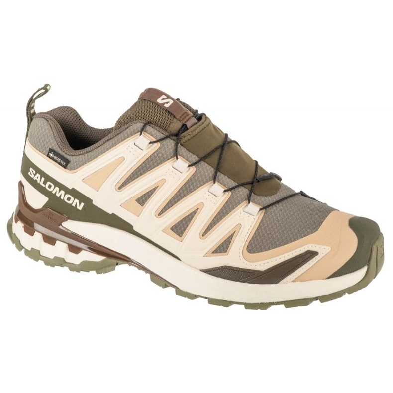 Salomon XA Pro 3D V9 GTX L47820200 zelena