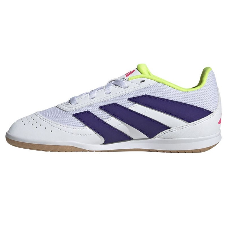 Adidas Predator Club Sala u ID3804 nogometnim cipelama bijela