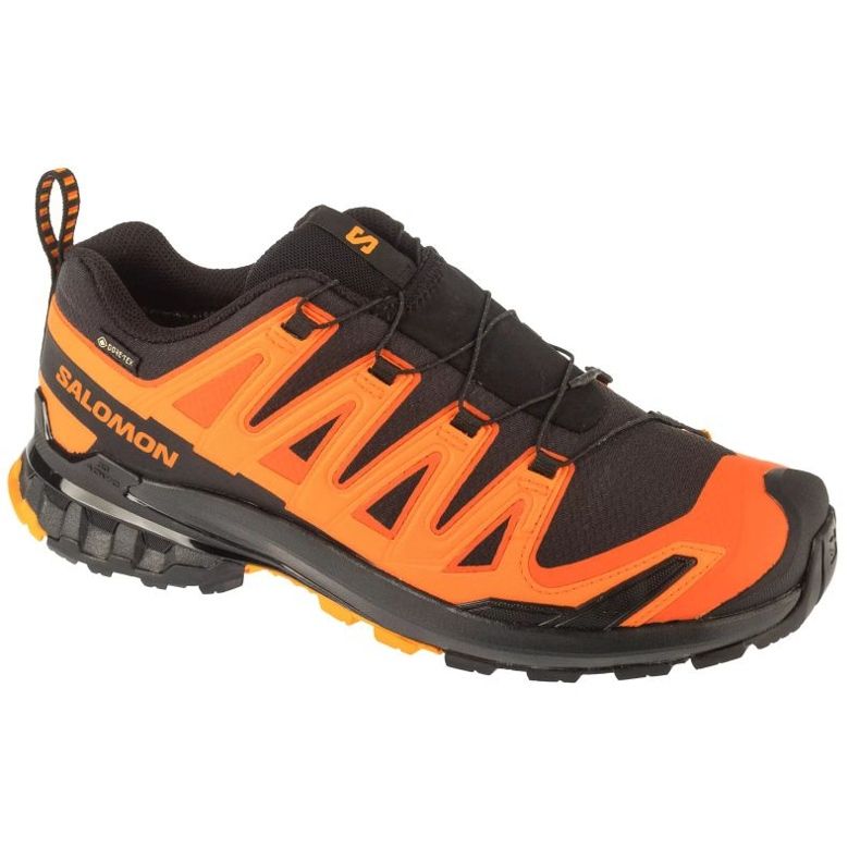 Salomon XA Pro 3D V9 GTX M L47961000 TRUSTI raznobojna