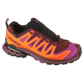 Salomon XA Pro 3D V9 GTX tenisice za trčanje u L47961900 višebojan