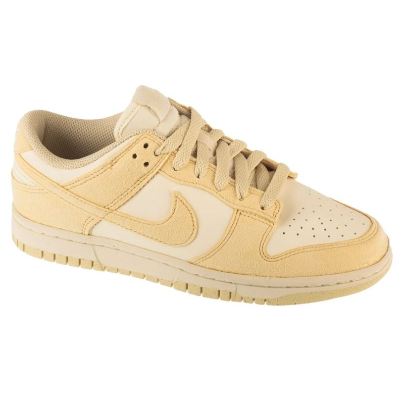 Nike Dunk niske cipele u HJ7673-004