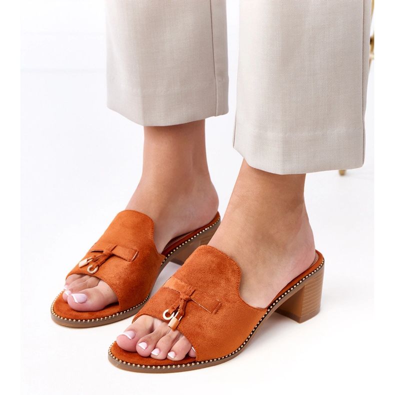 Smeđi okret -fli na ukrasu breze smeđa