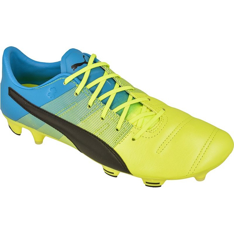 Puma evoPOWER 1.3 FG M kožne kopačke 10352701
