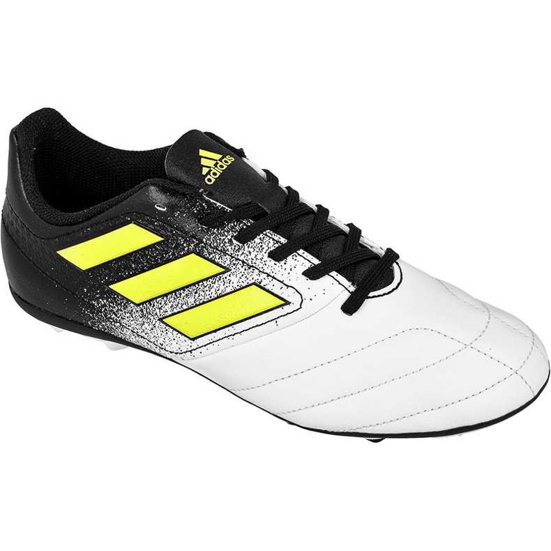 Kopačke Adidas Ace 17.4 FxG Jr S77098 raznobojna crno