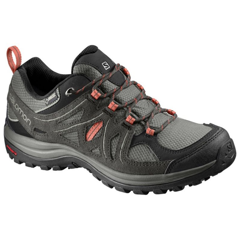 Trekking cipele Salomon Ellipse 2 GTX W L40002100 siva