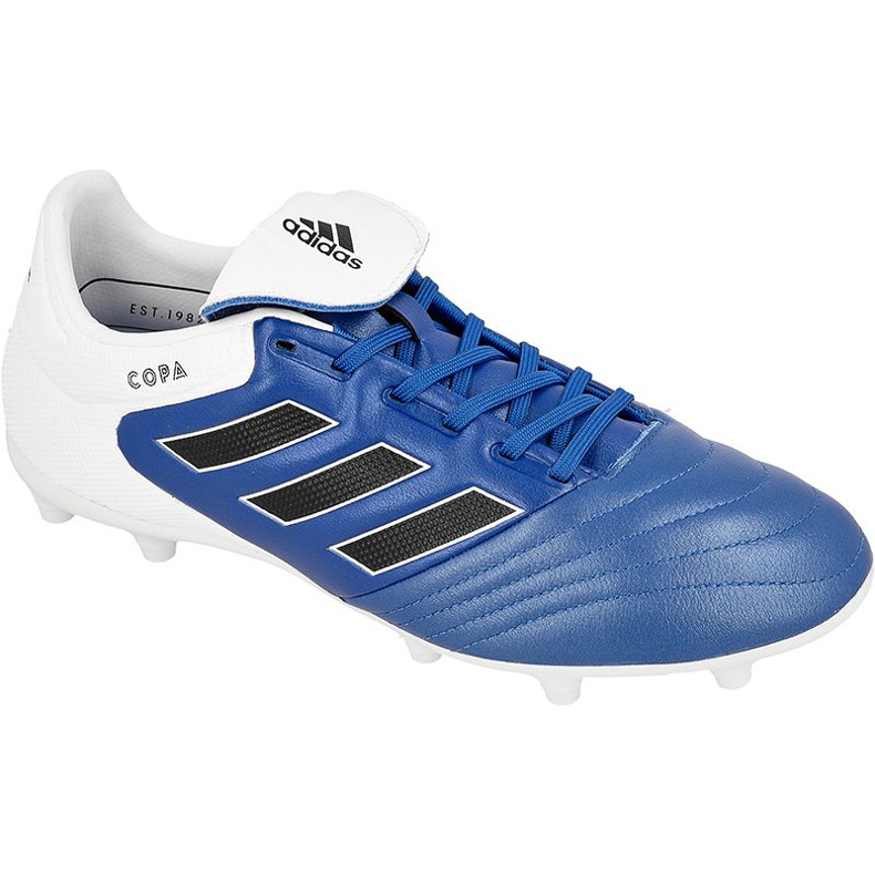 Kopačke Adidas Copa 17.3 Fg M BA9717 plava plava