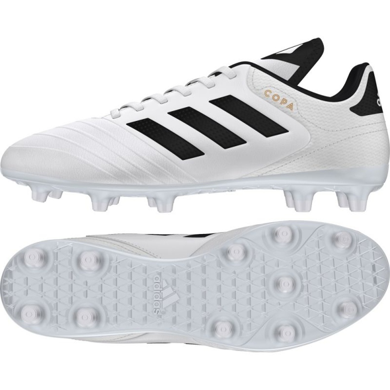 Kopačke Adidas Copa 18.3 Fg M BB6358 bijela bijela