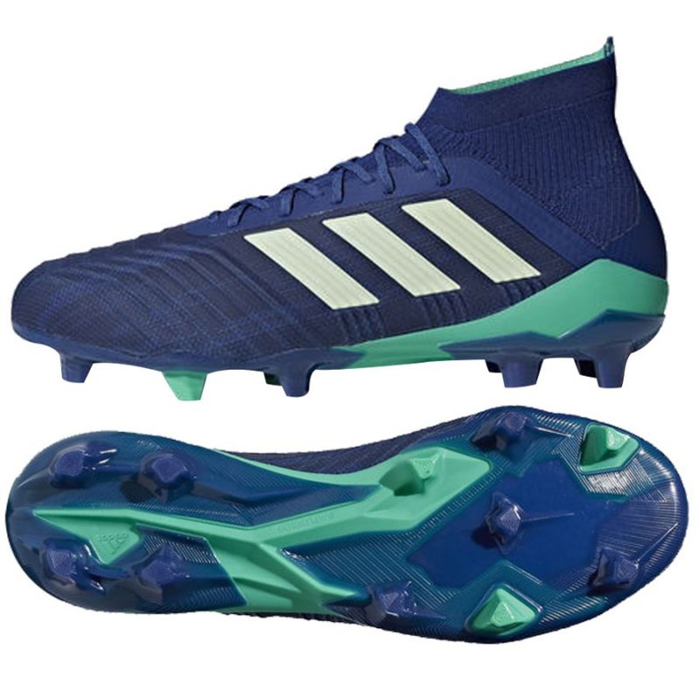 Kopačke Adidas Predator 18.1 Fg M CM7411 plava plava