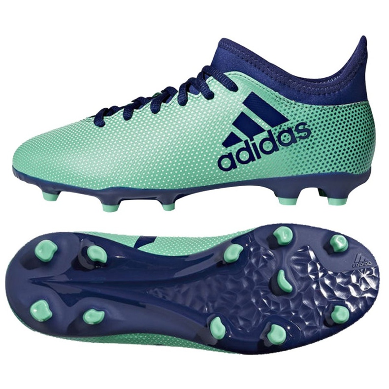 Kopačke Adidas X 17.3 Fg Jr CP8993 raznobojna plava