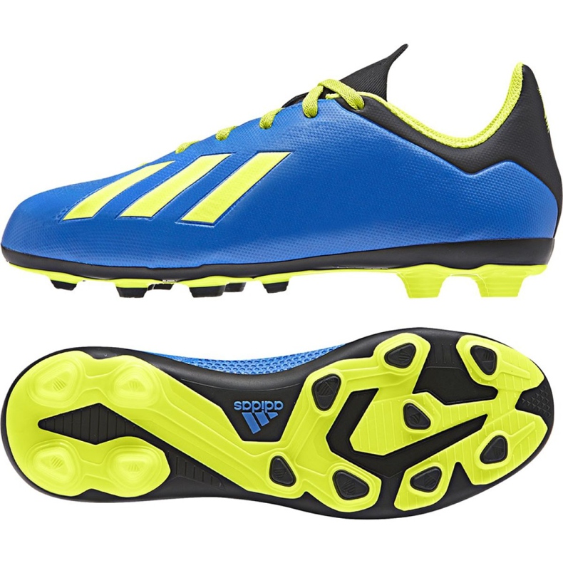 Kopačke Adidas X 18.4 FxG Jr DB2419 raznobojna plava