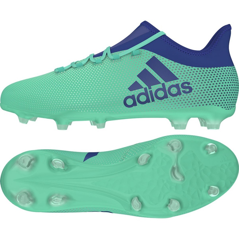 Adidas X 17.2 Fg M CP9189 kopačke raznobojna zelena