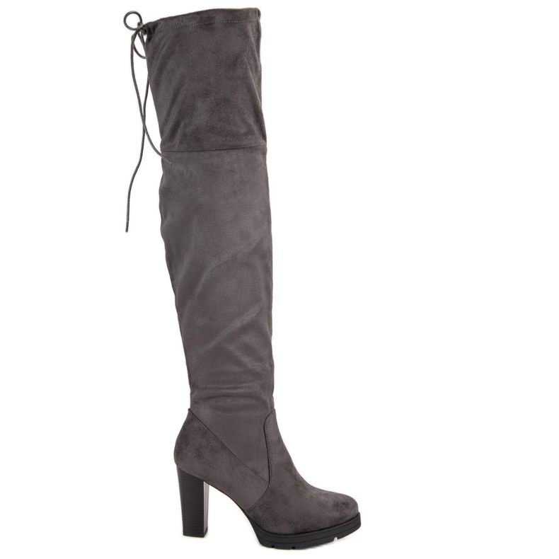 Seastar Sivi mušketiri na postu siva