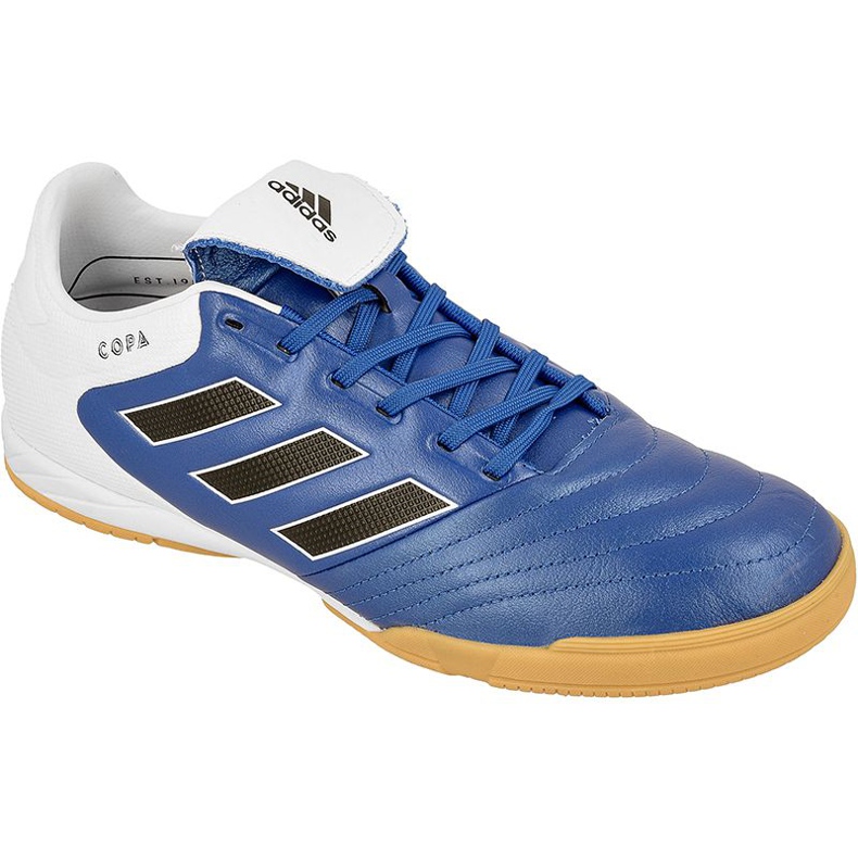 Unutarnje cipele adidas Copa 17.3 U M BB0853