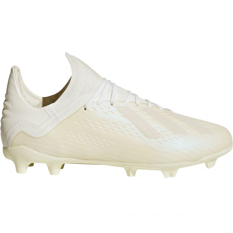 Kopačke Adidas X 18.1 FG Jr DB2430