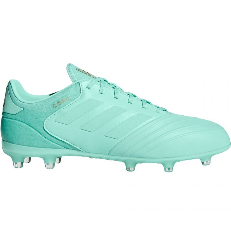 Kopačke Adidas Copa 18.2 FG M DB2446 plava