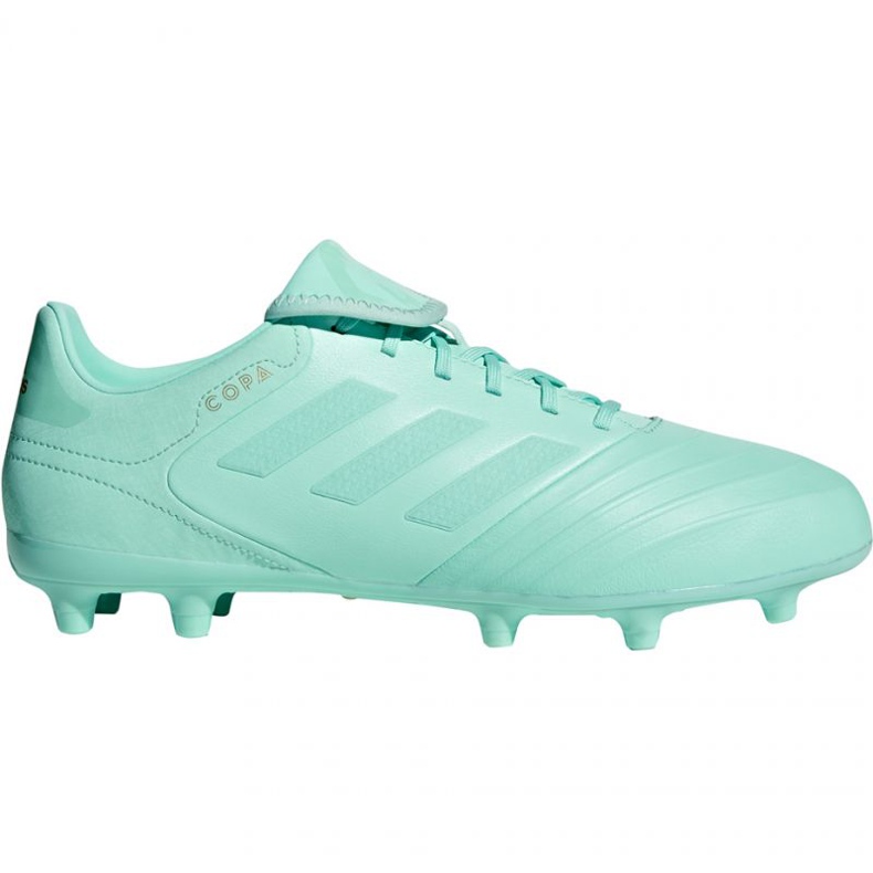 Kopačke Adidas Copa 18.3 Fg M DB2462 plava plava