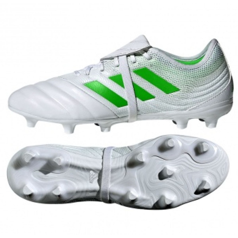 Kopačke Adidas Copa Gloro 19.2 Fg M D98062 raznobojna bijela