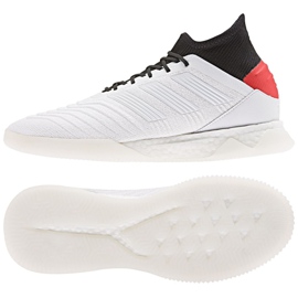 Adidas Predator 19.1 Tr M F35619 kopačke višebojan bijela