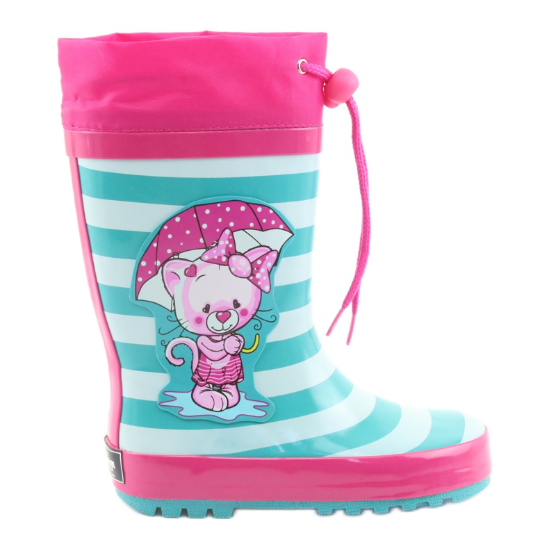 American Club Američki wellies.Mačić nakon izložbe ružičasta zelena