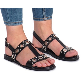 Crni sveti s ravnim stupovima crna